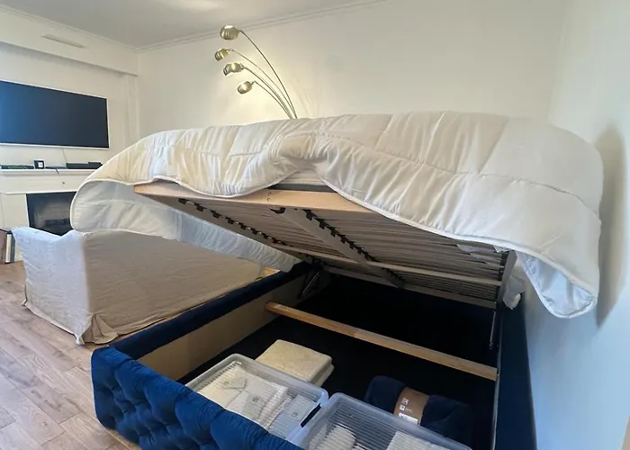 Premium Quiet Elegant Panoramic Elevator *