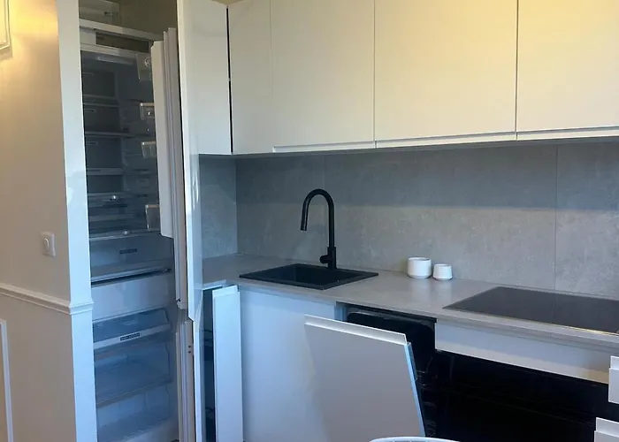 Premium Quiet Elegant Panoramic Elevator פריז