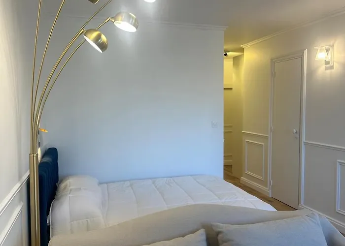 Premium Quiet Elegant Panoramic Elevator Paris