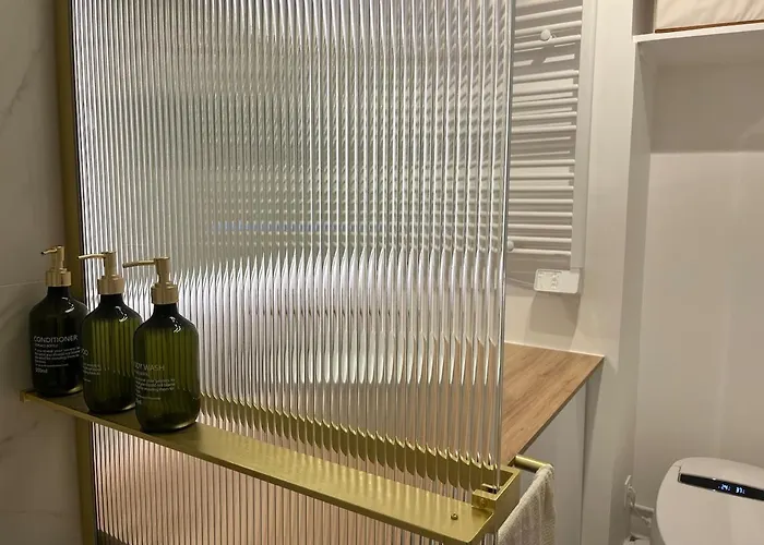 Premium Quiet Elegant Panoramic Elevator * Paris