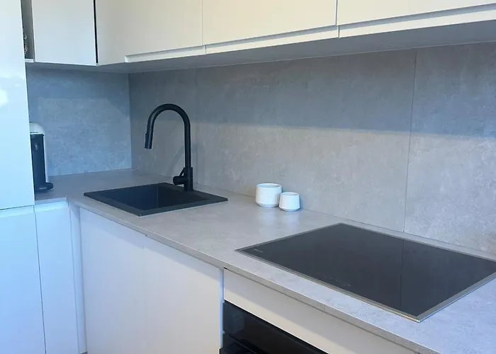 Premium Quiet Elegant Panoramic Elevator *